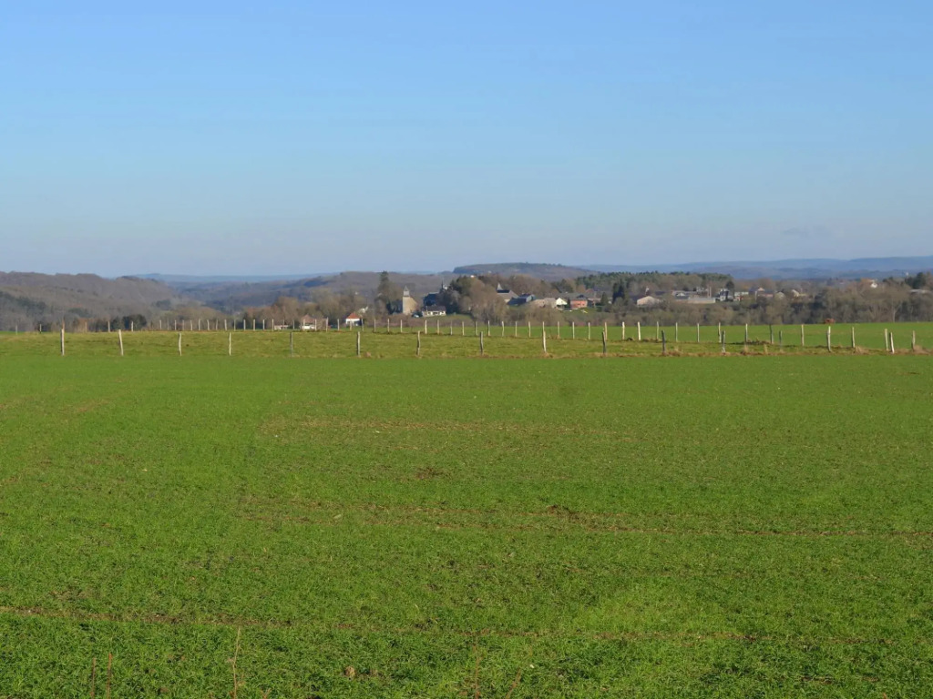 Holiday Home in Durbuy With Pool & Sauna
