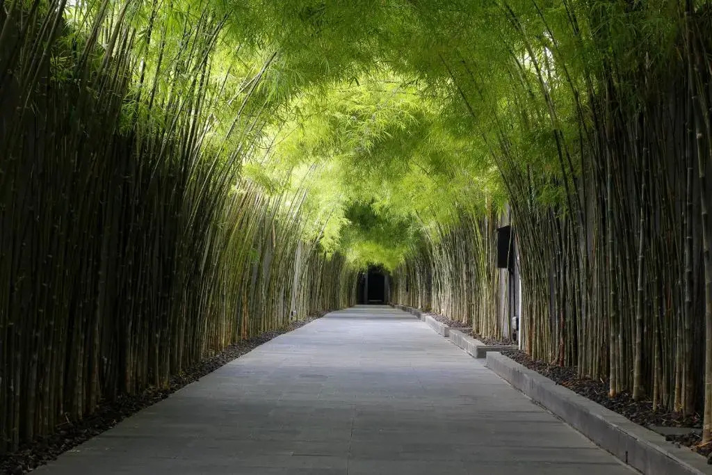 The Jineng Villas by Ekosistem