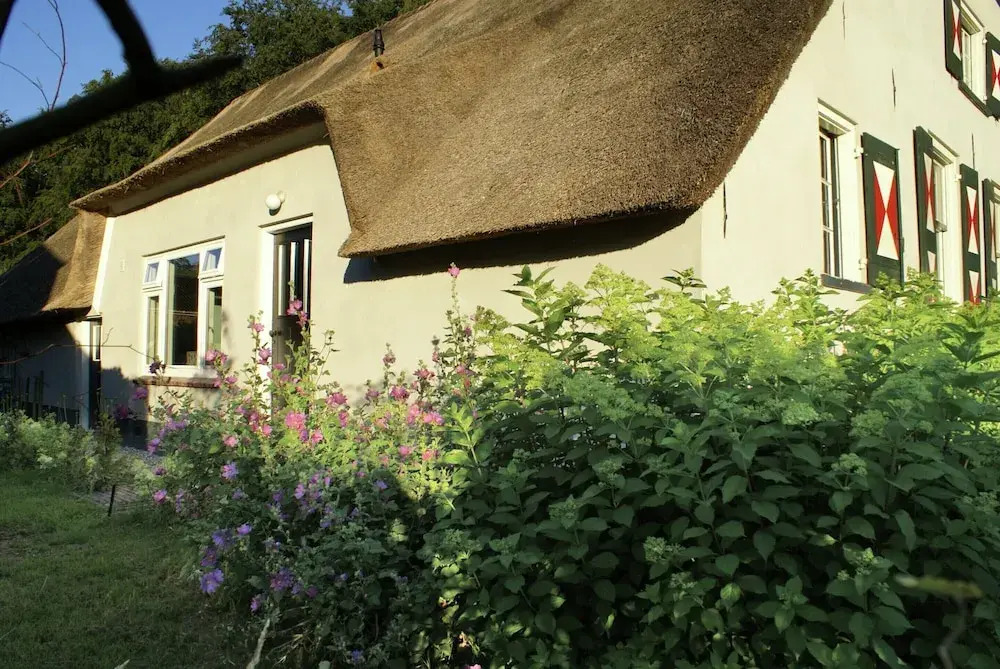 Peaceful Farmhouse in Doorn near Forest