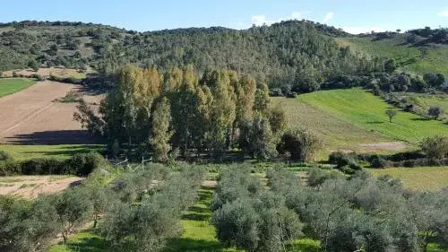 Giardino Vista Mare