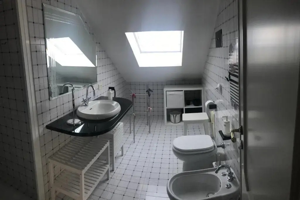 Domus