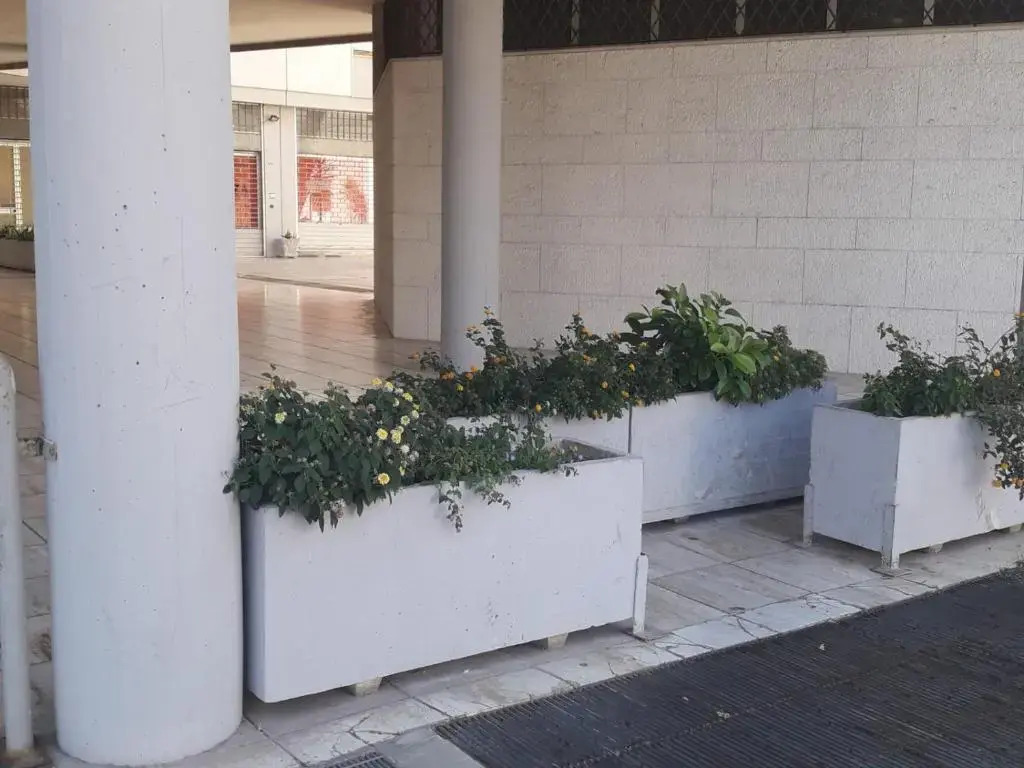 I Fiori Di Lucrezia