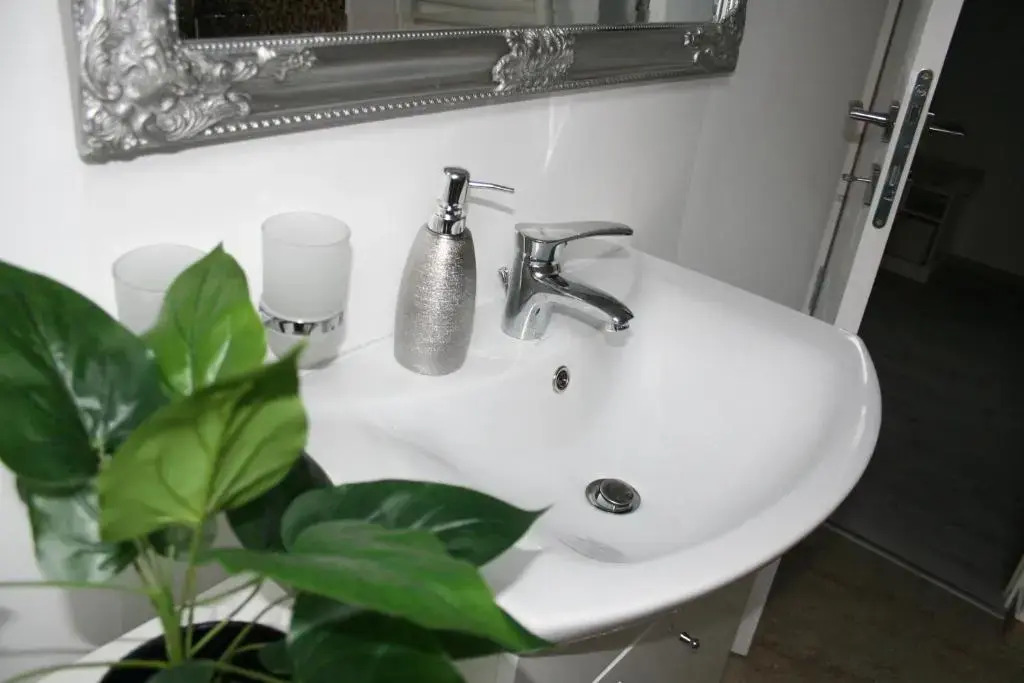Bruk Central Apartament