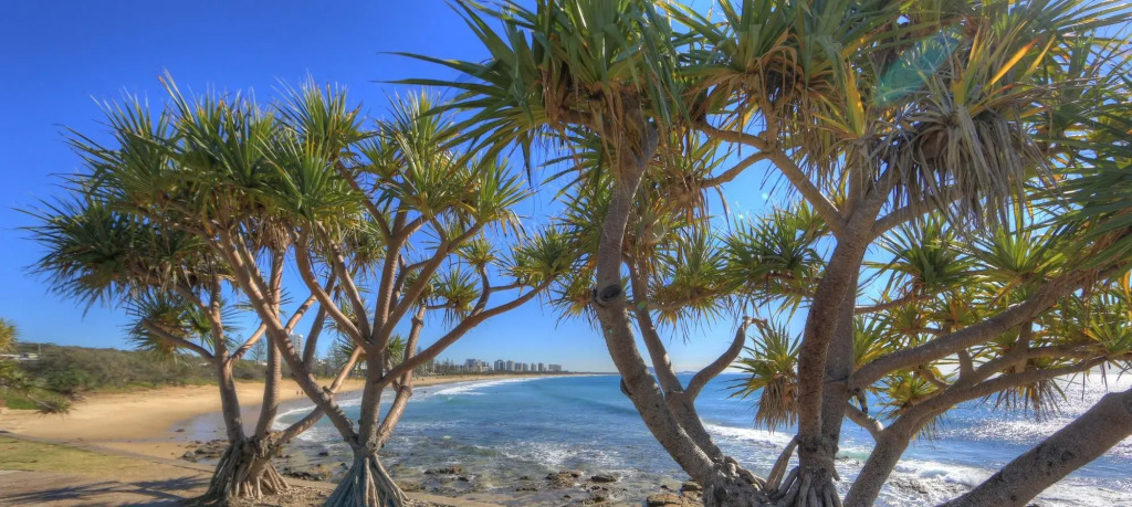 Alex Beach Cabins and Tourist Park