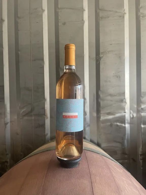 Wine country In Valle de Guadalupe