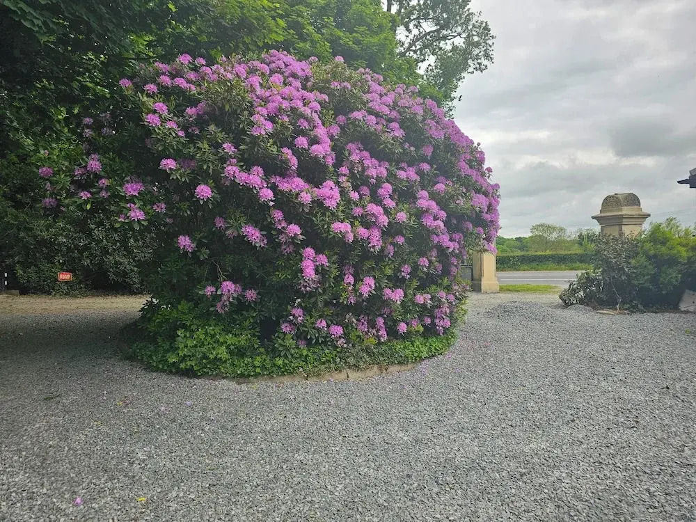 Mountpanther Holiday House