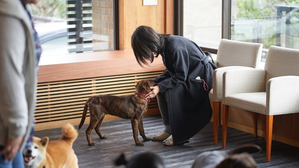LiVEMAX Resort Izu Kogen Terrace & Spa