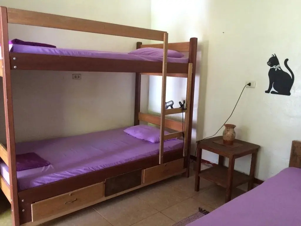 Backpacker Colibri Tarapoto