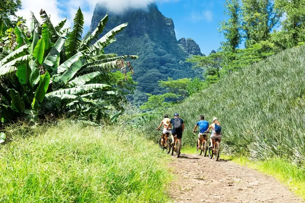 Moorea - Paopao Pool Mountain