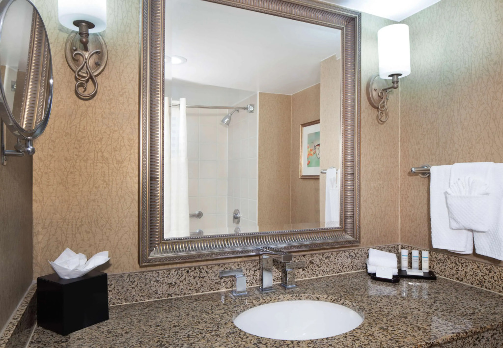 Embassy Suites by Hilton Dallas Near the Galleria
