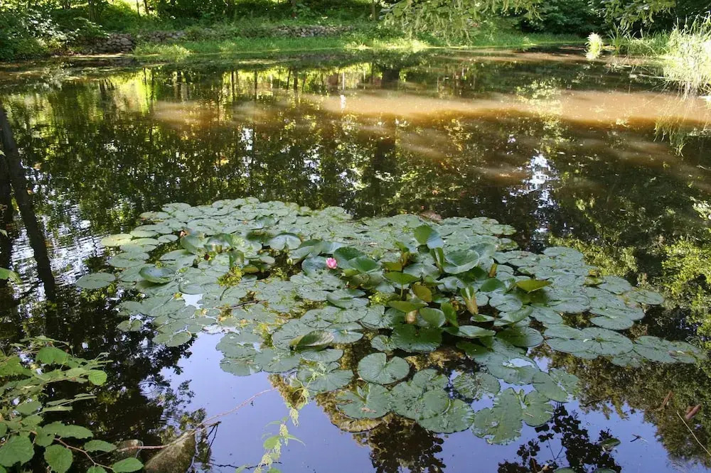 Zum Schlossgarten