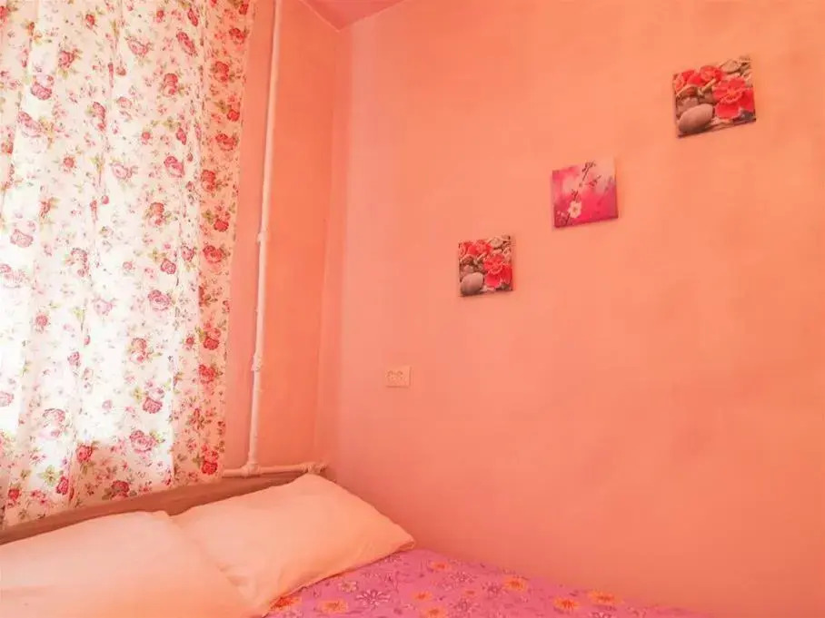 Hostel Petrograd
