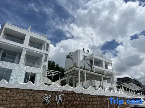 大理顾里海景别墅Dali Guli Sea View Villa Hotel