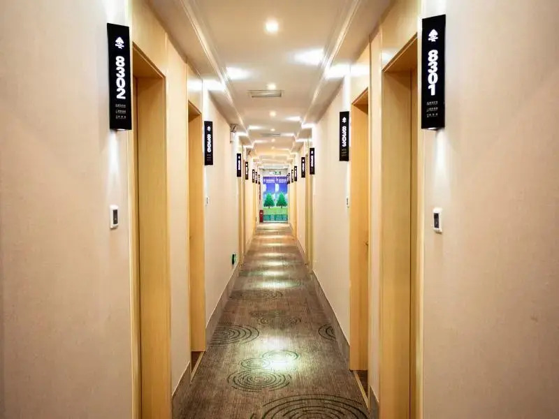 GreenTree Inn Anhui Hefei Wuhu Road Wanda Plaza Express Hotel