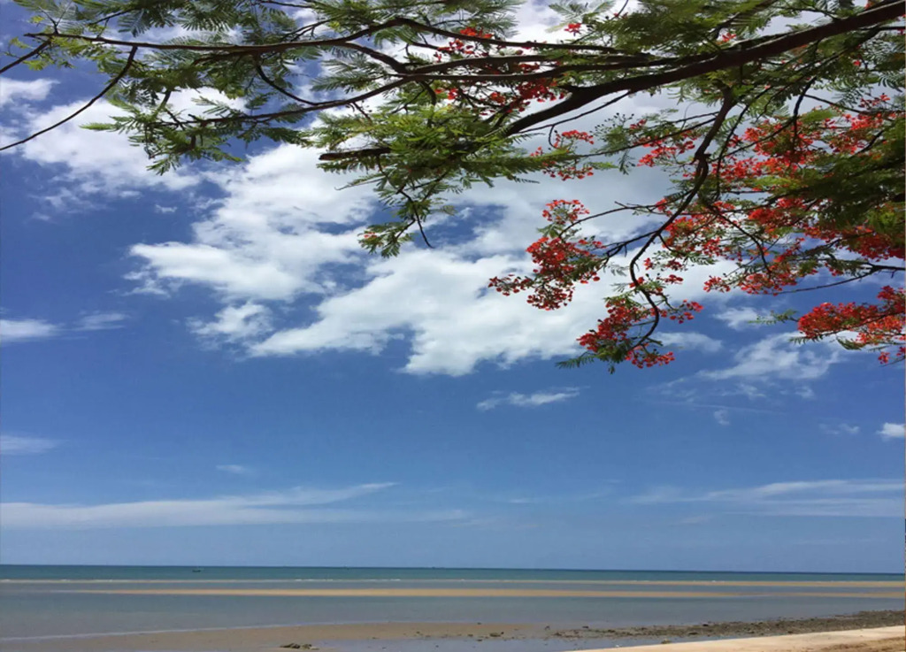 Bacchus Home Resort