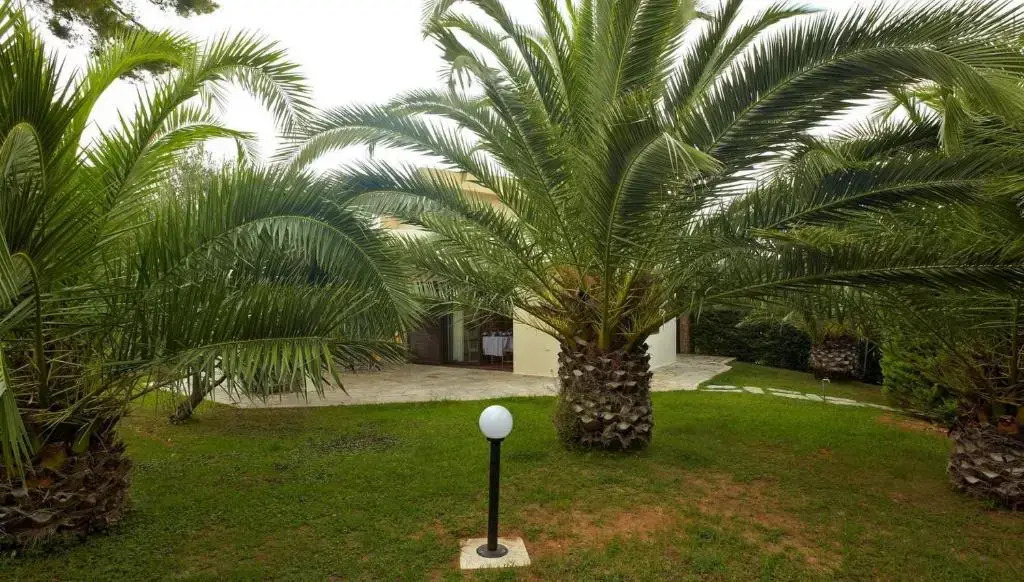 Villa Erato - Your Dream Getaway in Sani Seaside