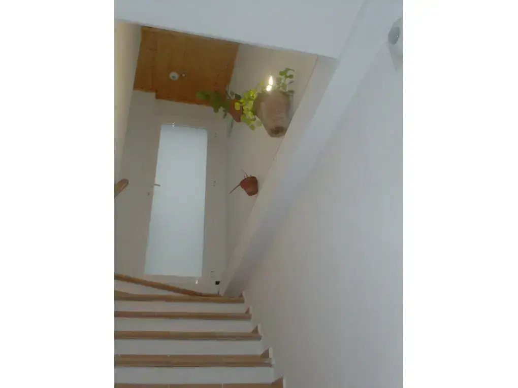 Rocio Rooms