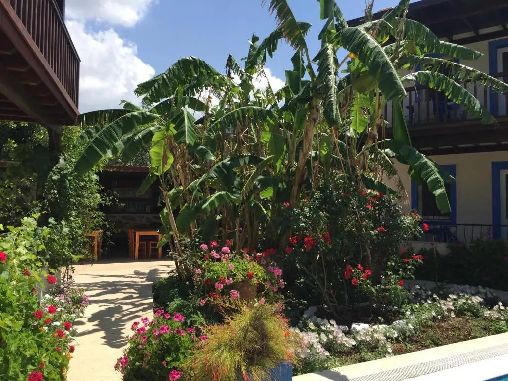 Paradise Garden Apartments