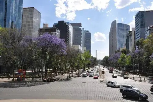 Casa de Chiles - 2 bedrooms in Mexico City