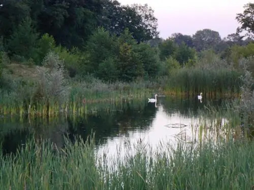 Twentekiek