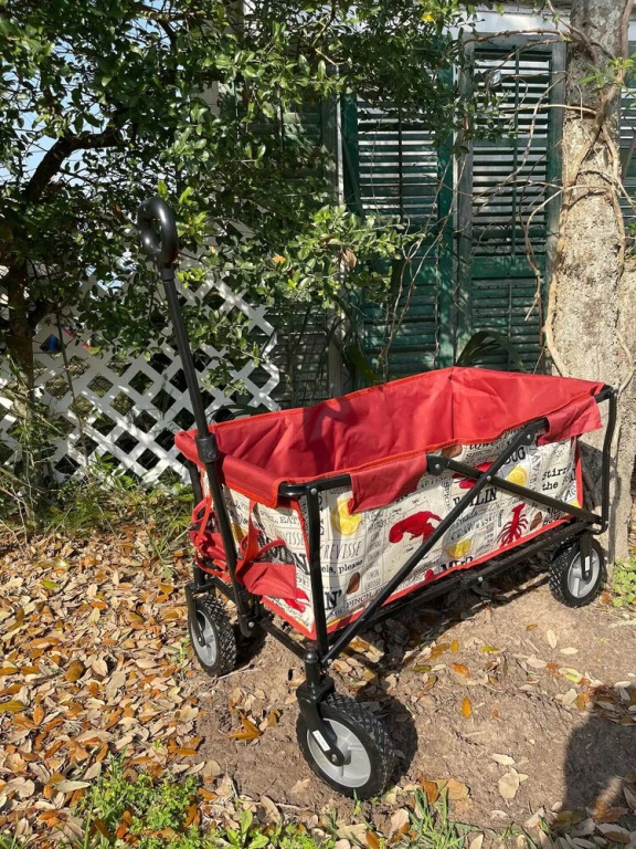 King Bed, Fenced Yard, Free Parking, Dog Friendly and Wifi - 1 BR Cottage by Redawning