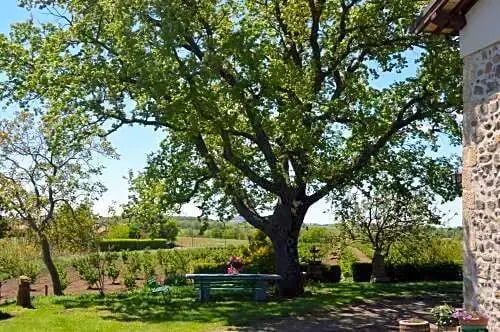 La Casa Del Nonno