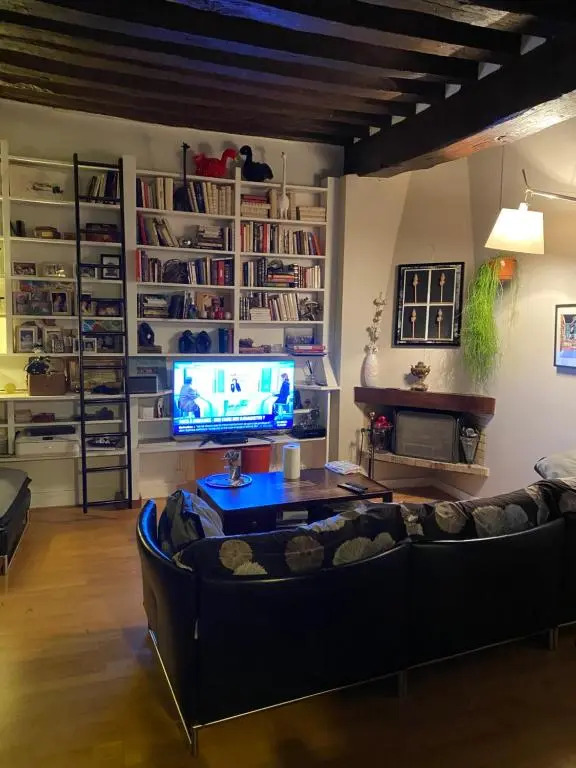 Apartment with terrace in Paris center - MONTORGUEIL district