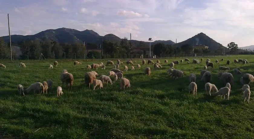 Agriturismo Il Nuraghe