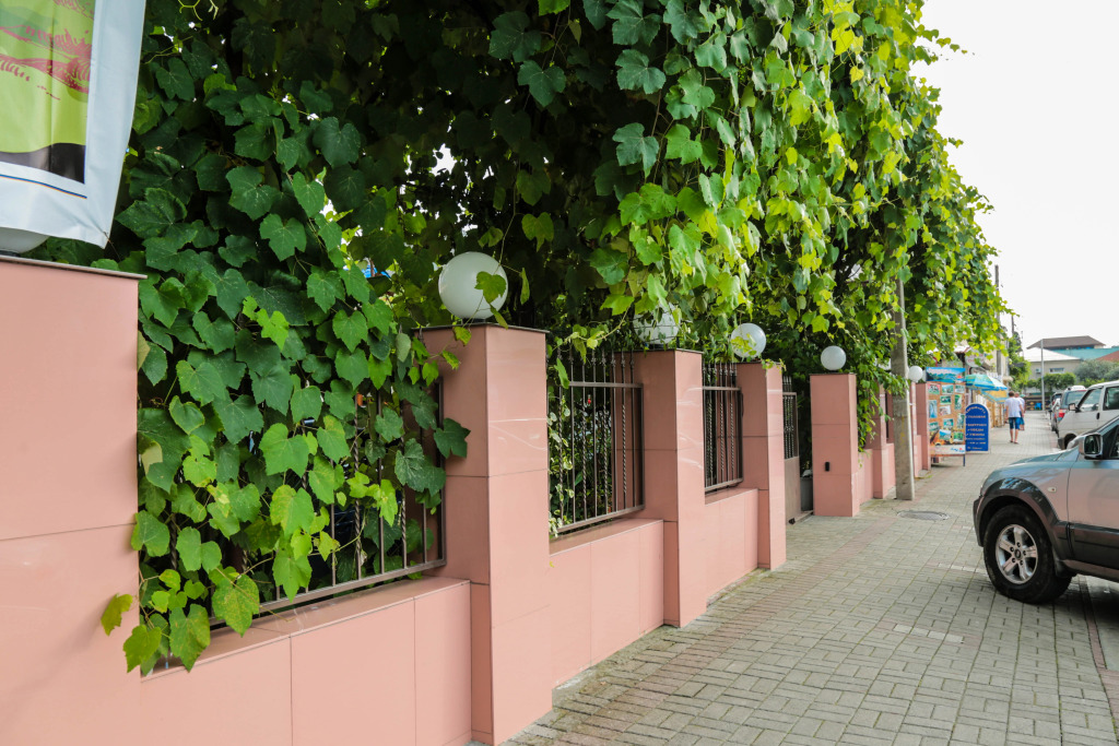 Abhaz-Leo, byvsh. Loza (Gagra)