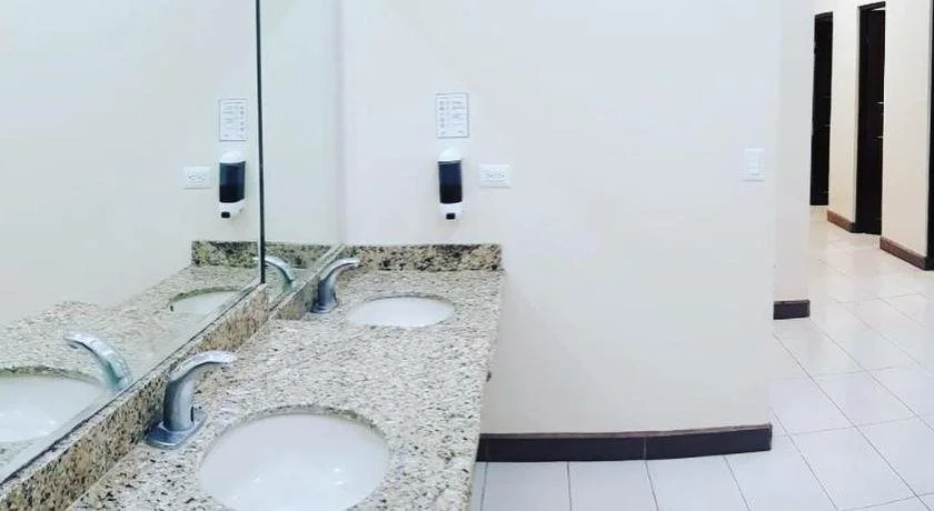 Oasis
