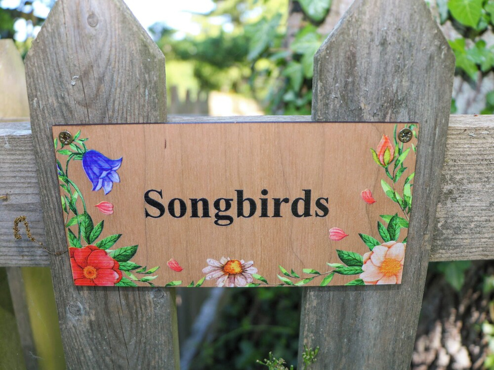 Songbirds