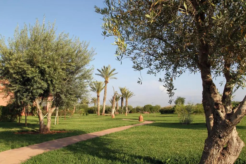 Dar Kamango - Marrakech Peaceful Retreat