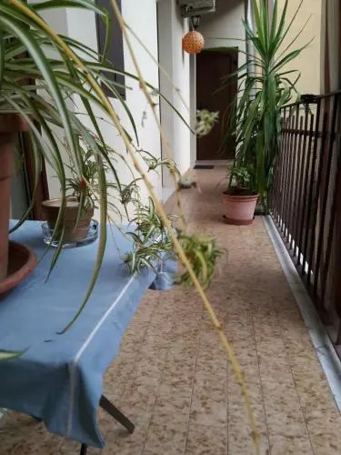 Viktoria B&B