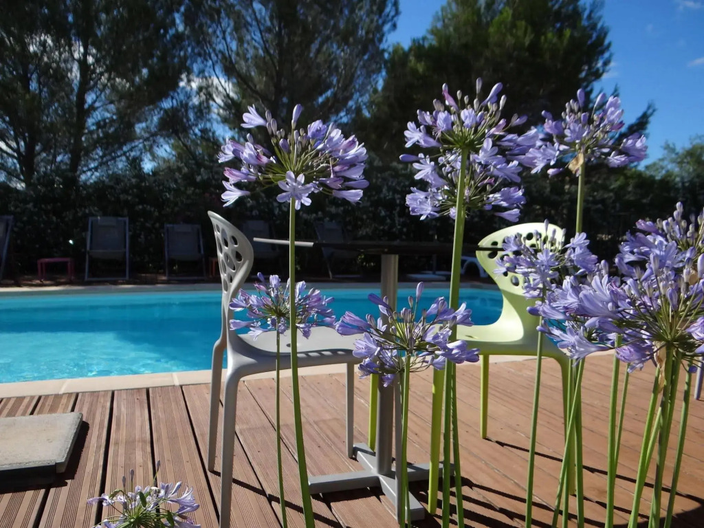 Patio De Violette