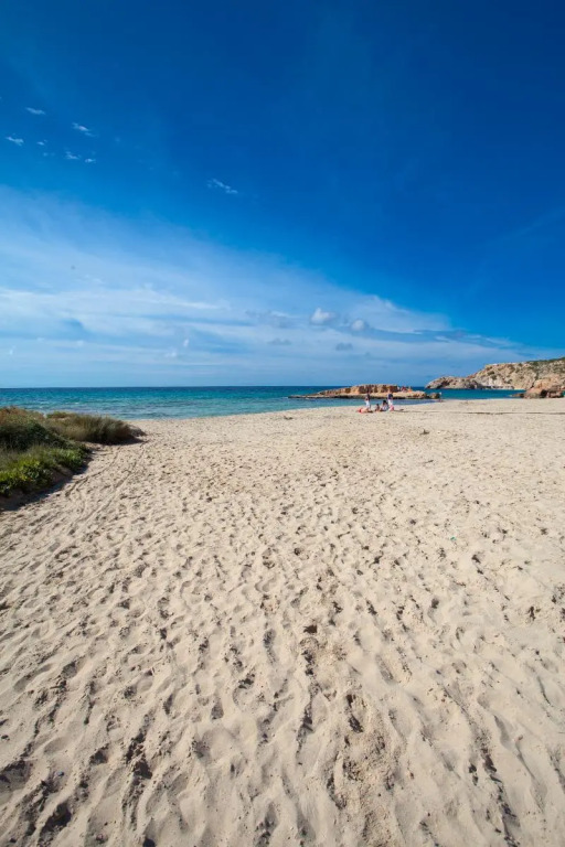 Insotel Club Tarida Playa