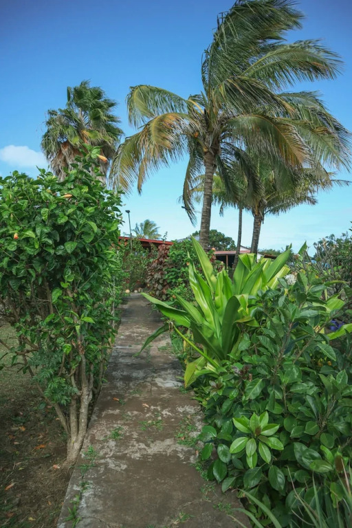 Cabañas Moana Nui