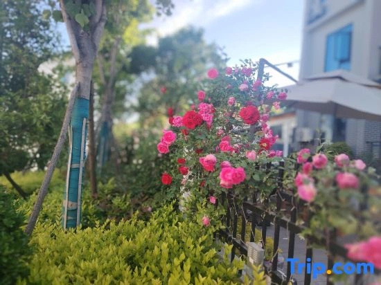 Lakeside courtyard homestay