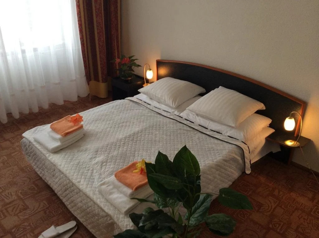 Hotel Sumava