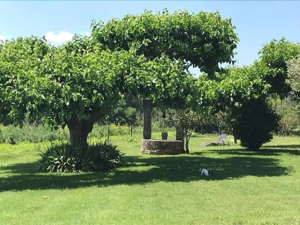 La Petite Campagne