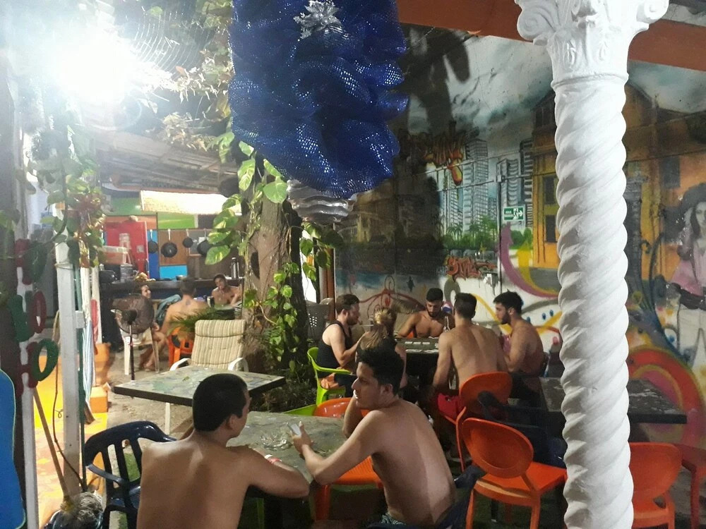 Tree House Hostel