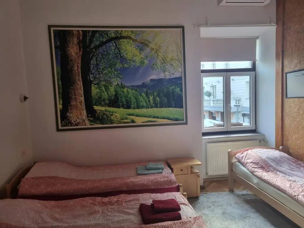 Apartments Fazarinc with parking, wellness and city store in the center of Celje