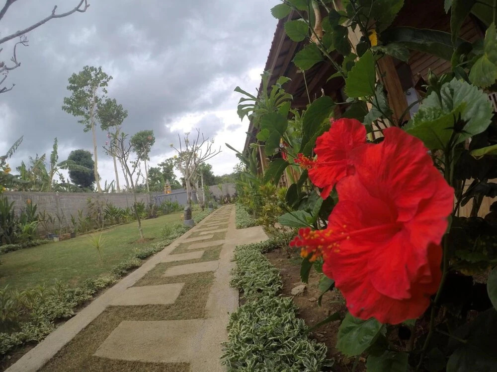 IMeme Guest House