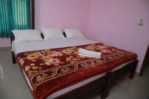 Executive Tourist Home