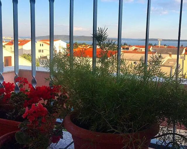 Guest House Mamut