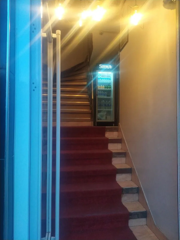 Hotel Kiwi