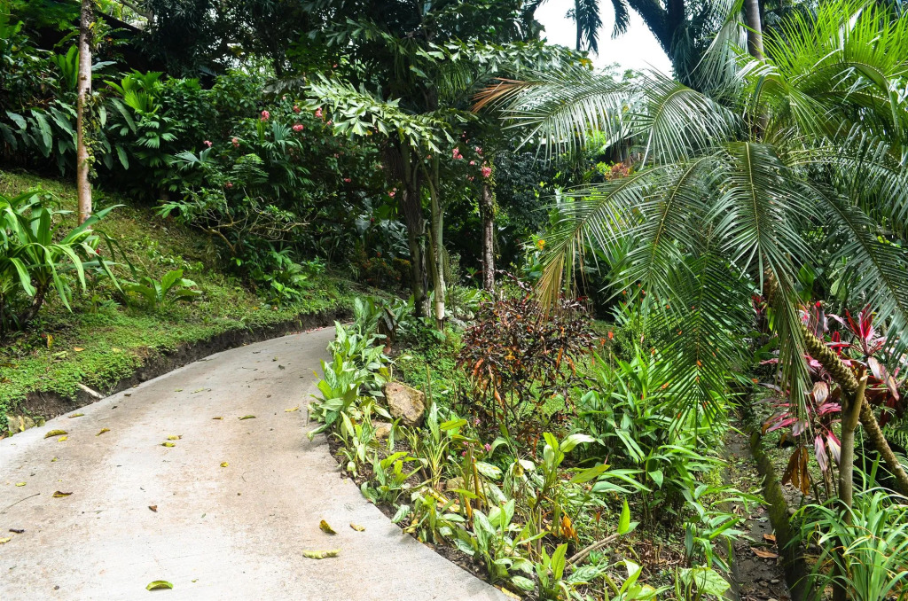 Tabulia Tree Hotel and Villas
