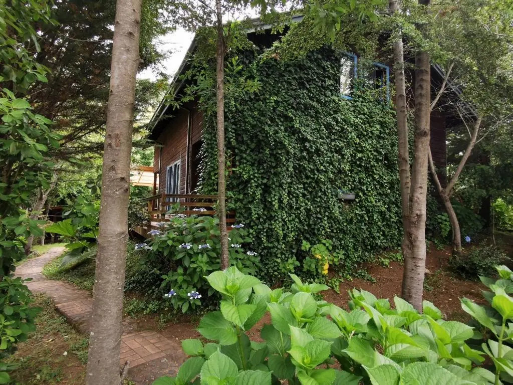 Cabaa Pudomo en Coaripe con Hot-tub exclusivo