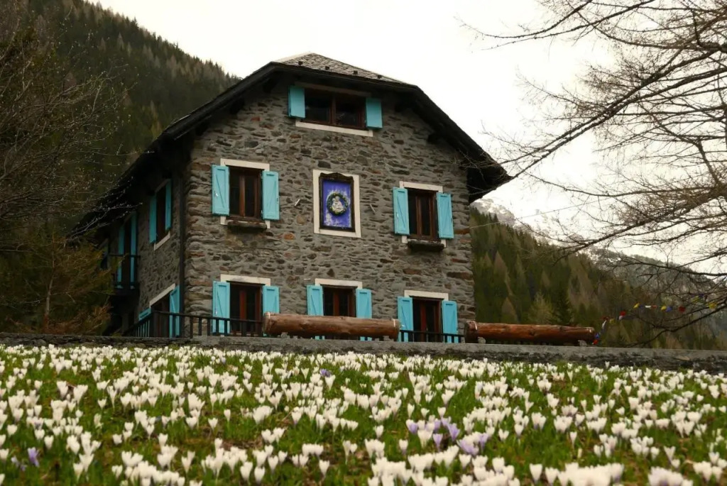 Il Cortese