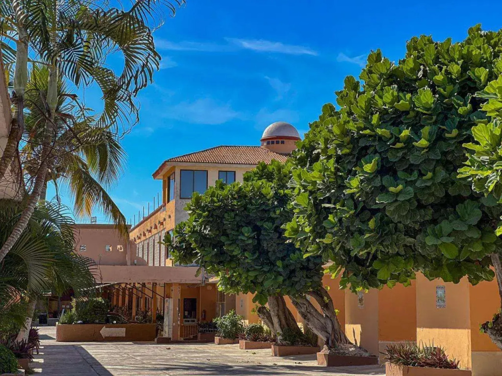 Hotel Oasis