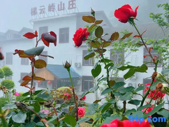 Tiyunling Hotel